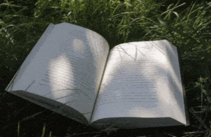 20 Favorite Reading Spots