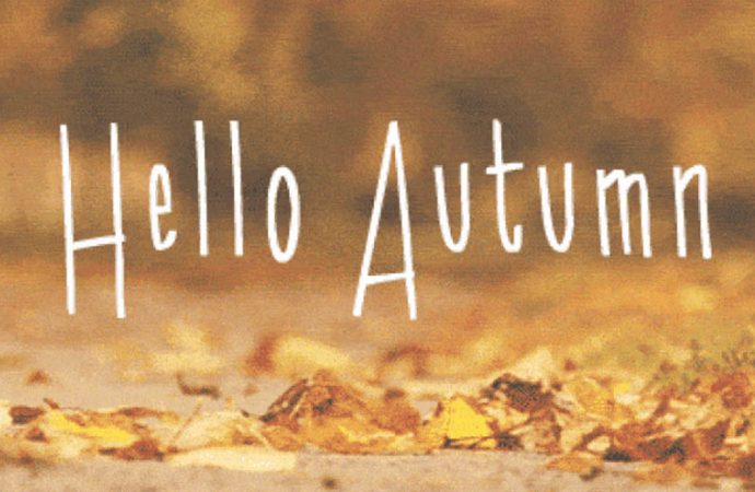 10 Reasons Why Fall Is The Best Season To Read