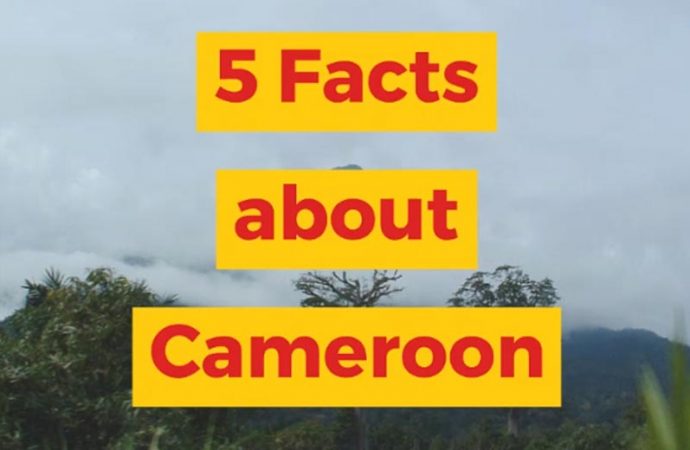 5 Facts About Cameroon From Africa Memoir