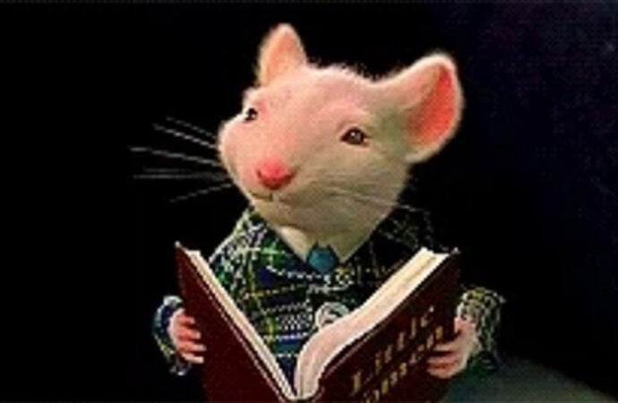 Top 11 Rodents In Literature
