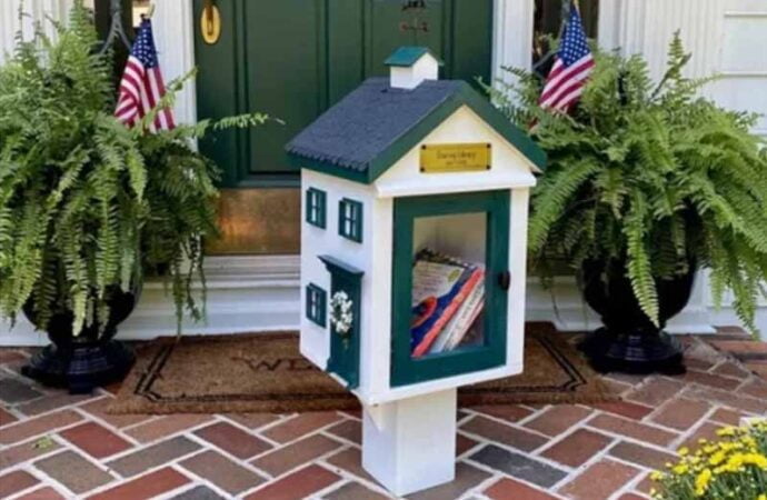 Best Little Free Libraries
